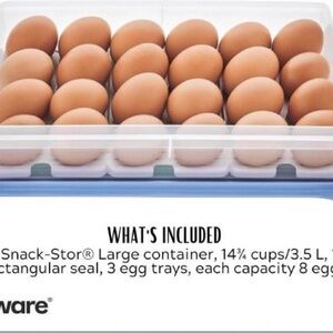 Tupperware Egg Holder with Blue Base